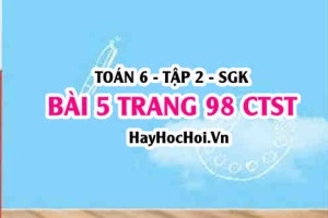 Giải bài 5 trang 98 Toán 6 Tập 2 Chân trời sáng tạo